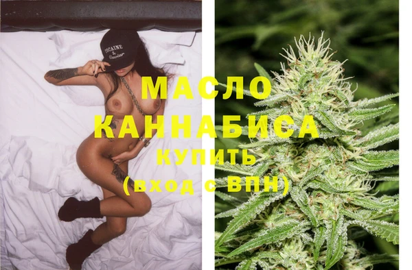 стаф Богданович