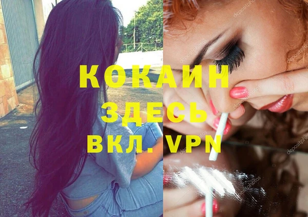 гидра Богородицк