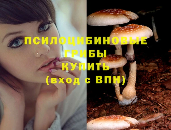 кристаллы Бородино