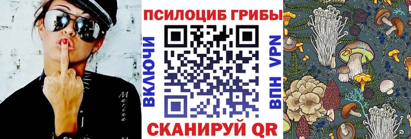 Купить где  Пучеж  Галлюциногенные грибы ЛСД 
